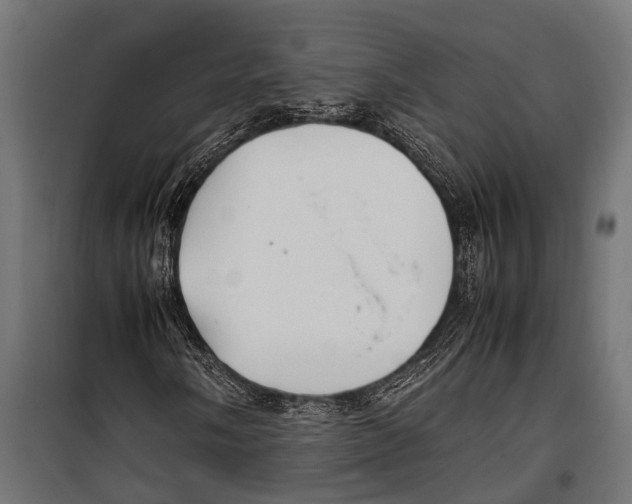 X0000099931058200806201052