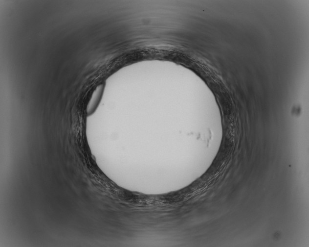 X0000099931061200806201051