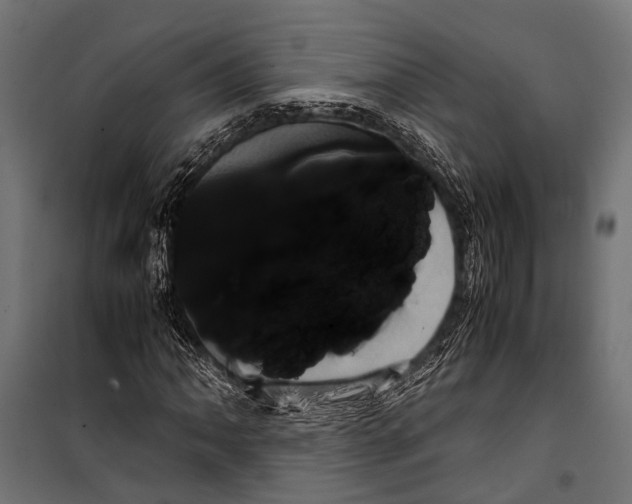 X0000099931062200806201051