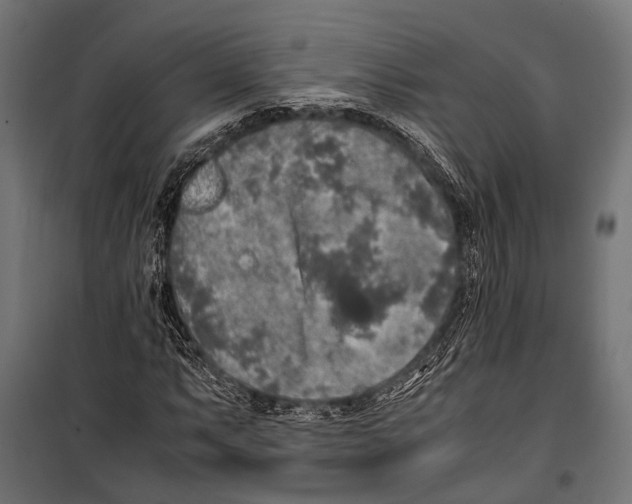 X0000099931063200806201051