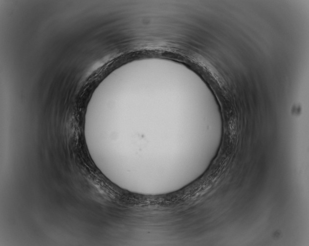 X0000099931064200806201051