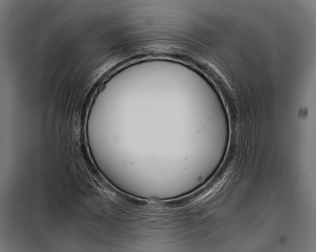 X0000099931065200806201051