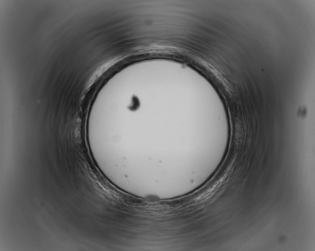 X0000099931066200806201051