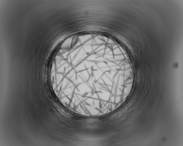 X0000099931067200806201051