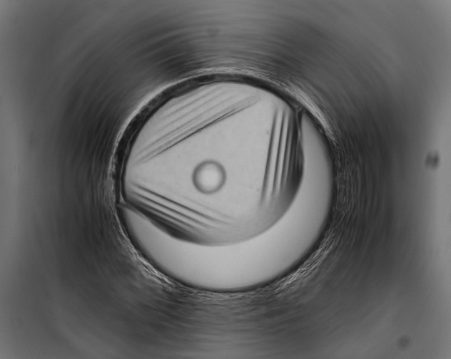 X0000099931068200806201051