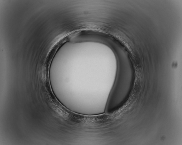 X0000099931069200806201051