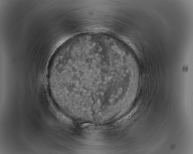 X0000099931071200806201051