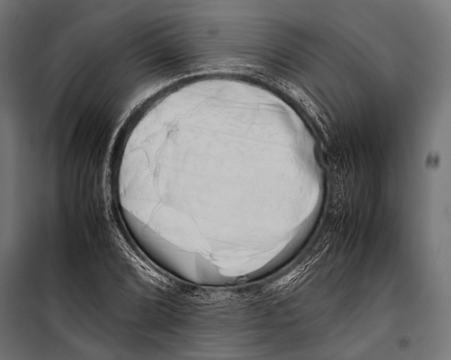 X0000099931072200806201051