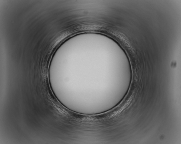 X0000099931073200806201051