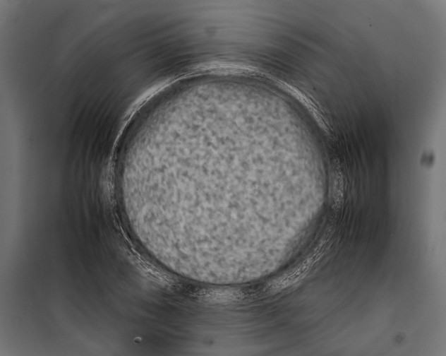 X0000099931074200806201051