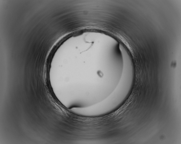 X0000099931076200806201051