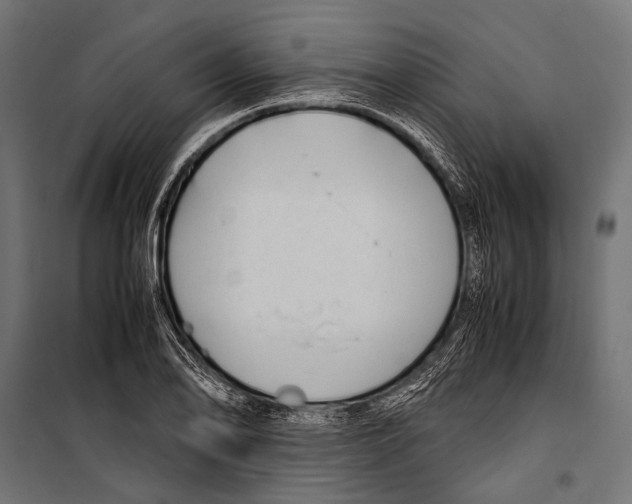 X0000099931078200806201051