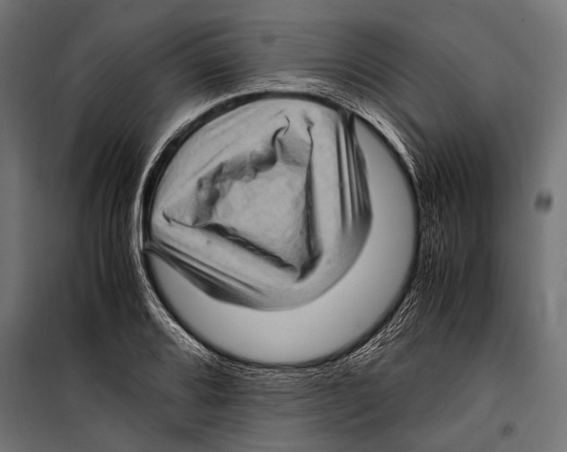 X0000099931080200806201051