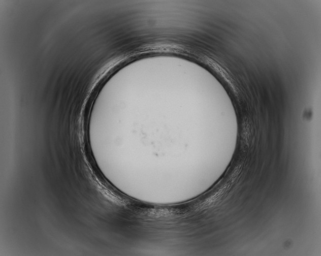 X0000099931082200806201051