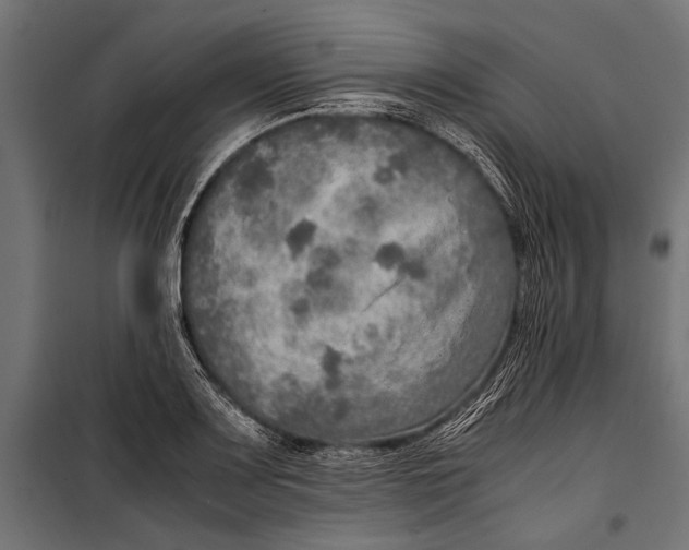 X0000099931083200806201051