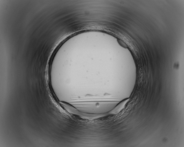 X0000099931084200806201051