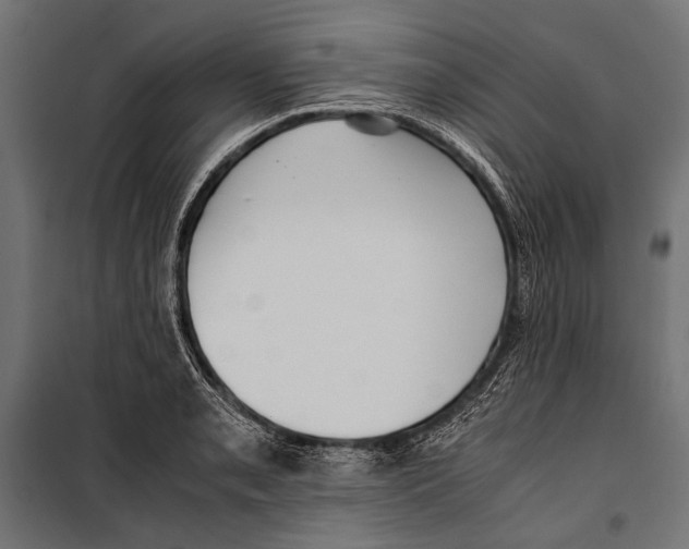 X0000099931085200806201051