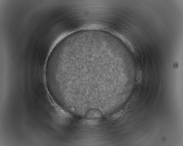 X0000099931086200806201051