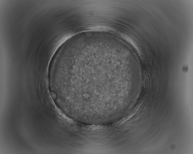 X0000099931087200806201051