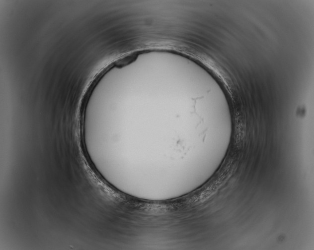 X0000099931088200806201051