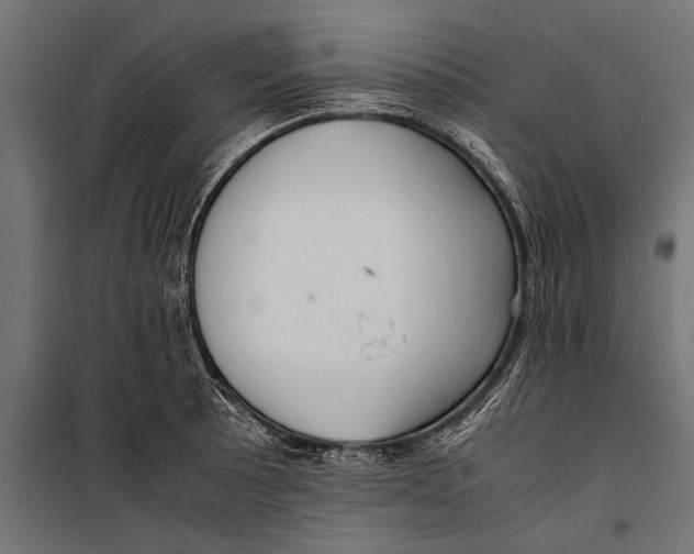 X0000099931089200806201051