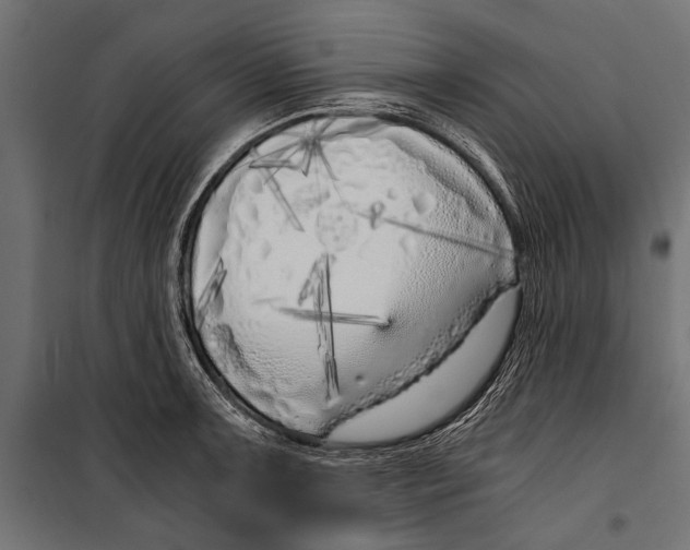 X0000099931091200806201051