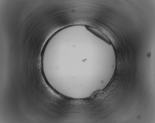 X0000099931092200806201051