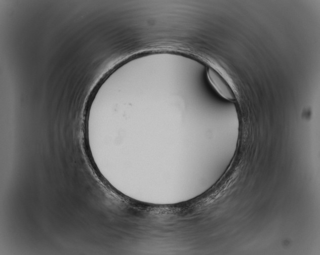 X0000099931093200806201051