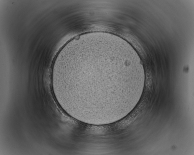 X0000099931094200806201051