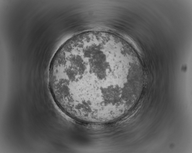 X0000099931095200806201051