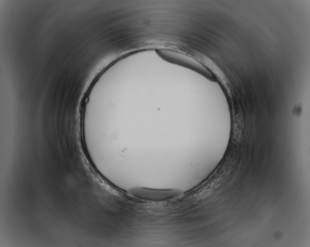 X0000099931096200806201051