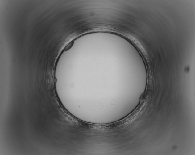 X0000099931097200806201051