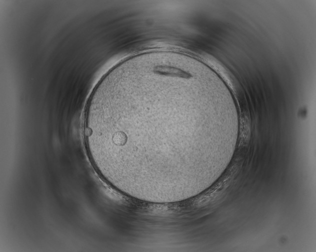 X0000099931098200806201051