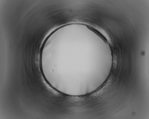 X0000099931100200806201051