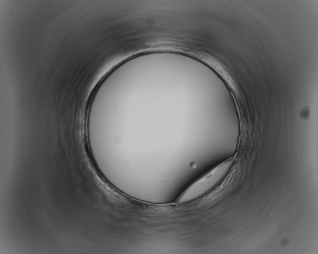 X0000099931101200806201051