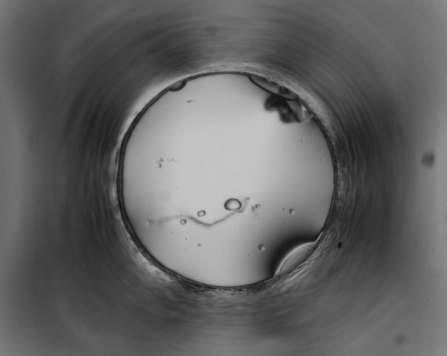 X0000099931102200806201051