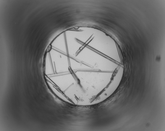 X0000099931103200806201051