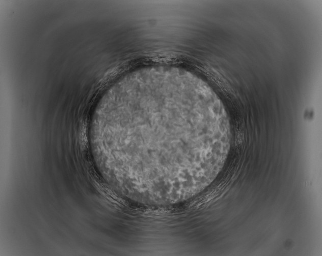 X0000099931106200806201050