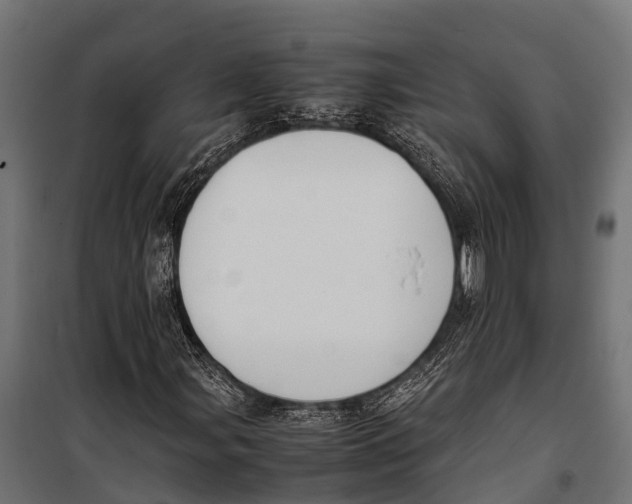 X0000099931107200806201050