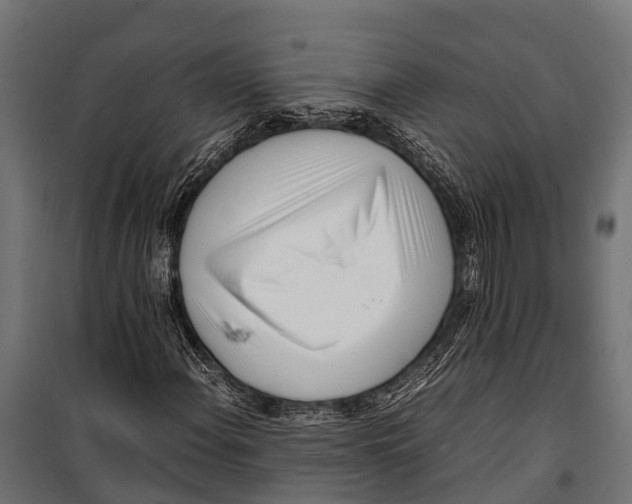 X0000099931108200806201050