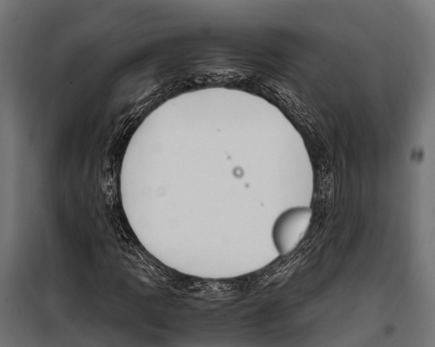 X0000099931109200806201050