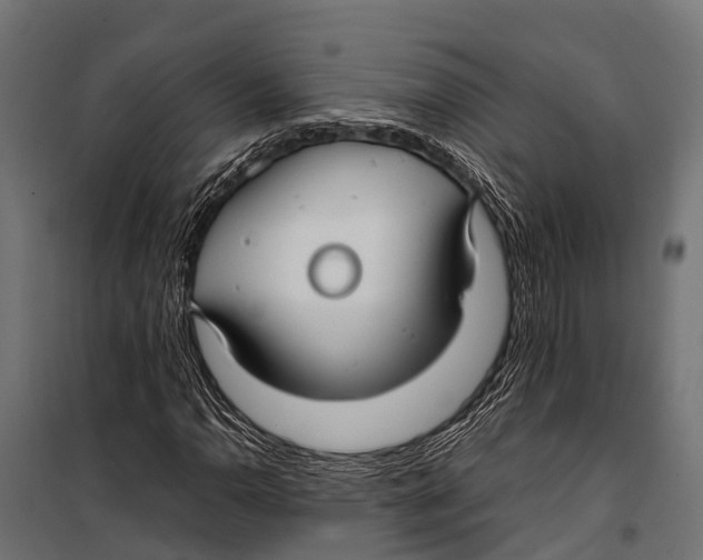 X0000099931110200806201050