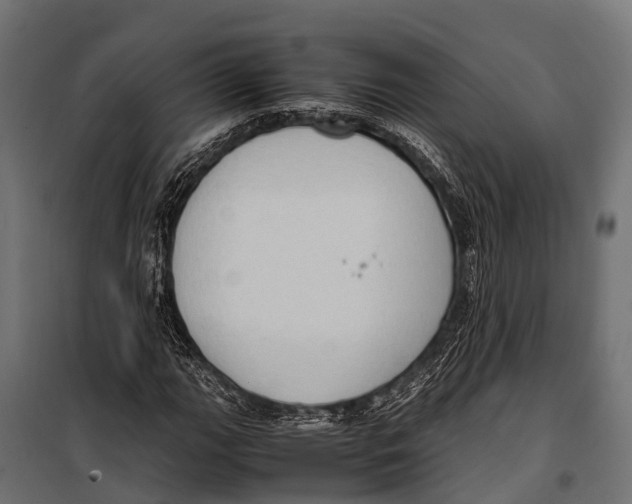 X0000099931111200806201050