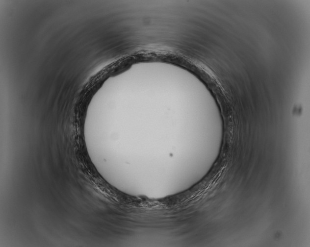 X0000099931112200806201050