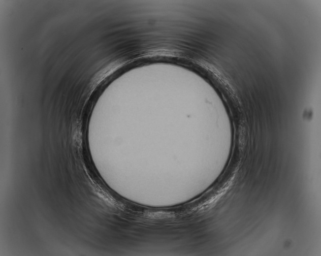 X0000099931113200806201050