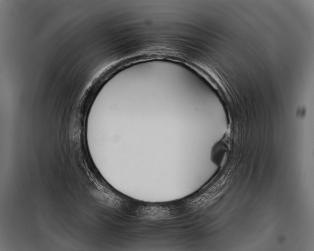 X0000099931115200806201050