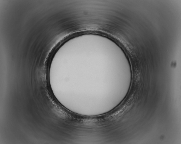 X0000099931118200806201050