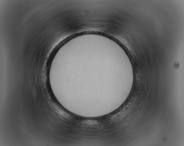 X0000099931119200806201050