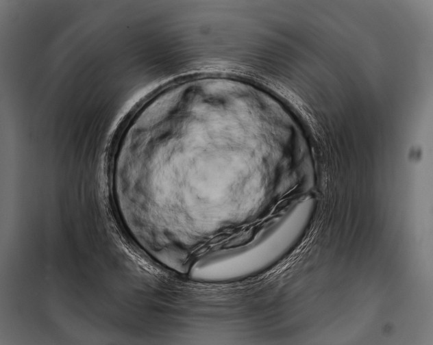 X0000099931120200806201050