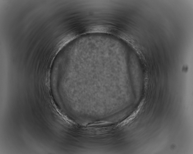 X0000099931121200806201050